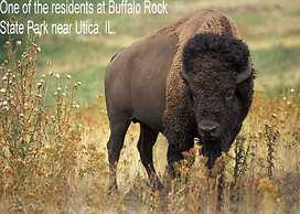 Super 8 by Wyndham Ottawa Starved Rock