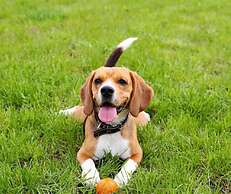 Atlanta Evergreen Lakeside Resort