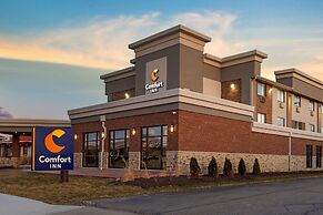 Comfort Inn Detroit - Troy