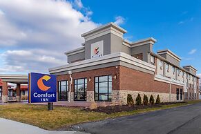 Comfort Inn Detroit - Troy