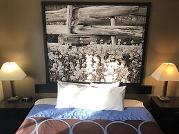 Super 8 by Wyndham Boise