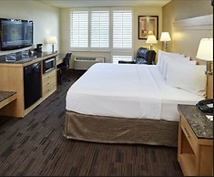 LivINN Hotel St. Paul – I-94 – East 3M Area