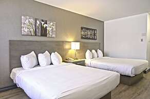Repotel Levis