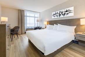 Repotel Levis