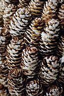 Eurotel Lanaken - Different Hotels