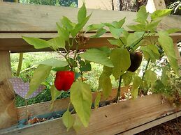 Hotel Markgraf Leipzig