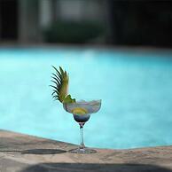 Vivanta Ernakulam, Marine Drive