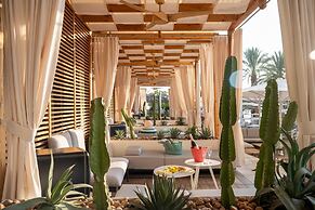 Dan Eilat