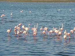 Best Western Hotel Residence Italia