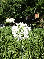 Grand Hotel Villa Balbi