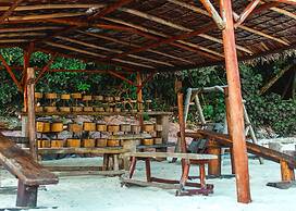 The Taaras Beach & Spa Resort