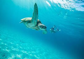 The Taaras Beach & Spa Resort