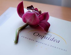 Hotel Orquidea