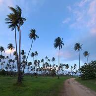 Parador Palmas de Lucía