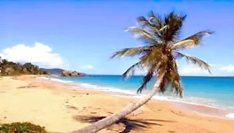 Parador Palmas de Lucía