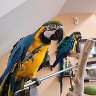 Parador Palmas de Lucía