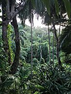 Goblin Hill Villas at San San