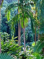 Goblin Hill Villas at San San