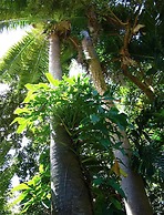 Goblin Hill Villas at San San