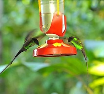 Goblin Hill Villas at San San