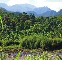 Goblin Hill Villas at San San