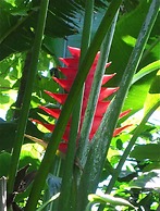 Goblin Hill Villas at San San