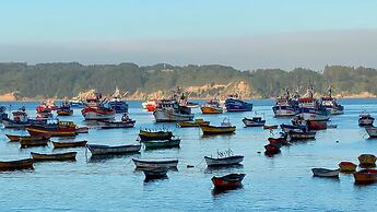 Holiday Inn Express Concepcion by IHG