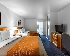 Comfort Inn & Suites Sequoia/Kings Canyon
