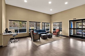 Comfort Inn & Suites Sequoia/Kings Canyon