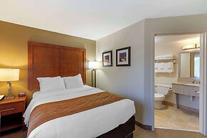 Comfort Inn Kennesaw