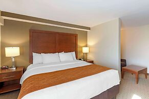 Comfort Inn Kennesaw