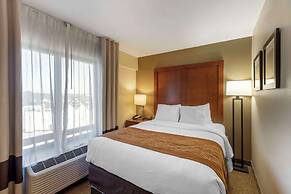 Comfort Inn Kennesaw