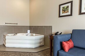 Comfort Inn La Porte