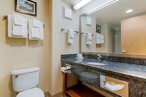 Comfort Inn Mechanicsburg - Harrisburg South