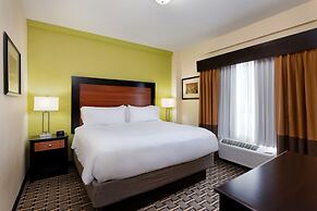 Holiday Inn Express and Suites Atlanta Downtown, an IHG Hotel