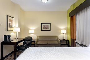 Holiday Inn Express and Suites Atlanta Downtown by IHG