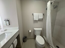 Holiday Inn Express and Suites Atlanta Downtown by IHG