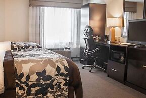 Wingate by Wyndham Bel Air I-95 Exit 77A / APG Area