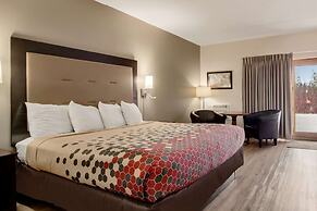 Econo Lodge Cadillac