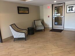 Americas Best Value Inn NRG Park Medical Center