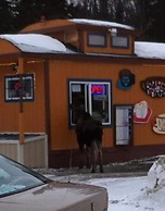 7 Gables Inn & Suites