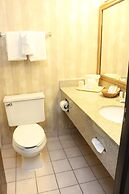 Quality Inn & Suites Detroit Metro Airport