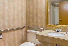 Quality Inn & Suites Detroit Metro Airport