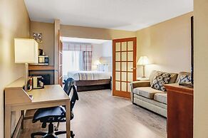 Country Inn & Suites by Radisson, Grand Rapids Airport, MI