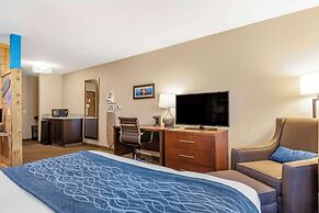 Comfort Inn Ludington near US-10