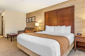 Comfort Inn Ludington near US-10