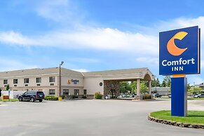 Comfort Inn Ludington near US-10