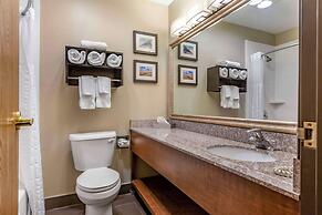 Comfort Inn Ludington near US-10