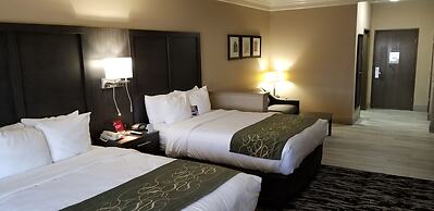 Comfort Suites Kingwood Houston North
