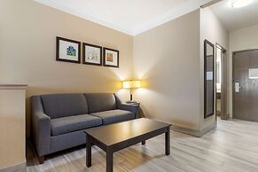Comfort Suites Kingwood Houston North